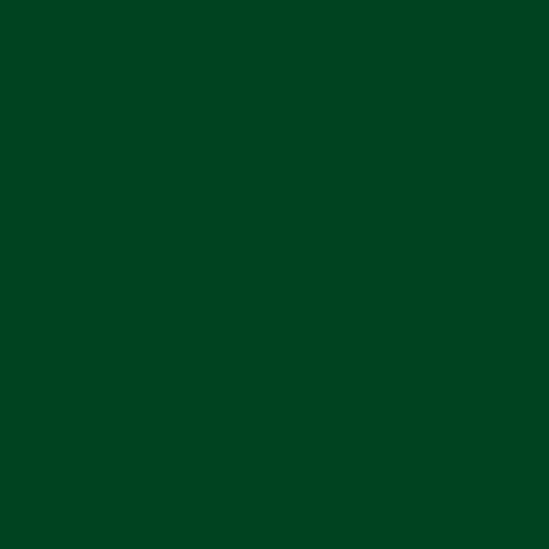 groen | RAL 6024